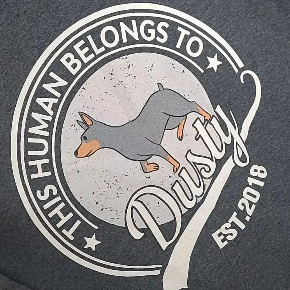 Gildan sz XL gray T-Shirt with graphics 